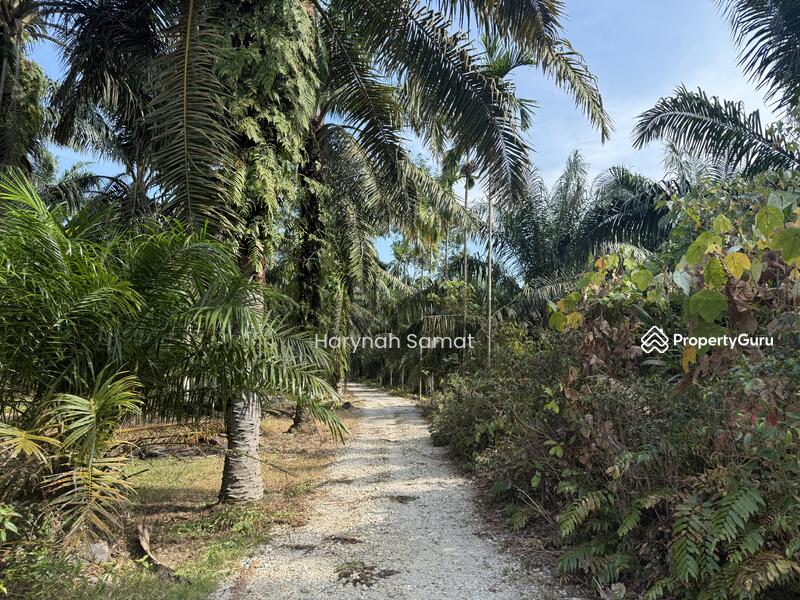 For Sale - Parit Sayang, Batu Pahat