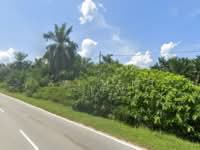 For Sale - Sidam Kiri Freehold Land For Sale