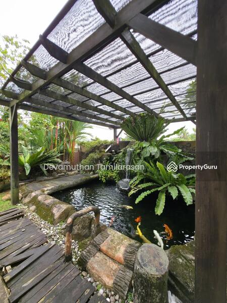 Fish Pond