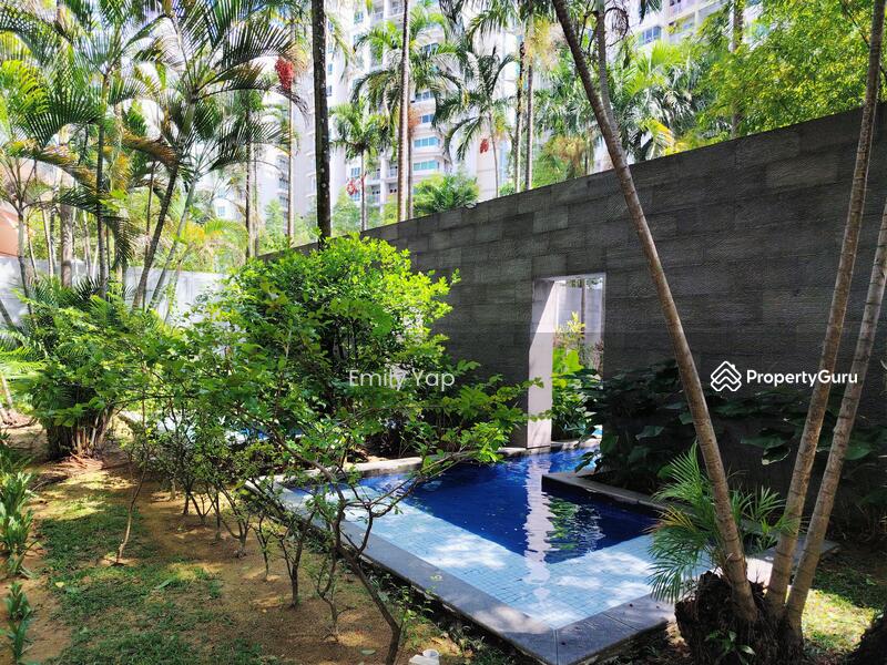 Garden fish pond
