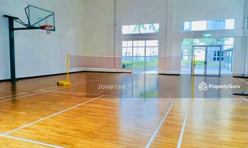 Basketball Court