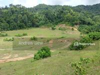 For Sale - perak