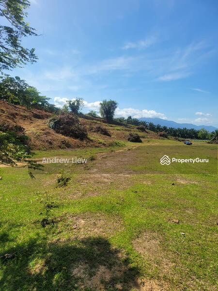 Agricultural Land for Sale in Kerian (Perak) - Andrew Liew - View - PropertyGuru.com.my