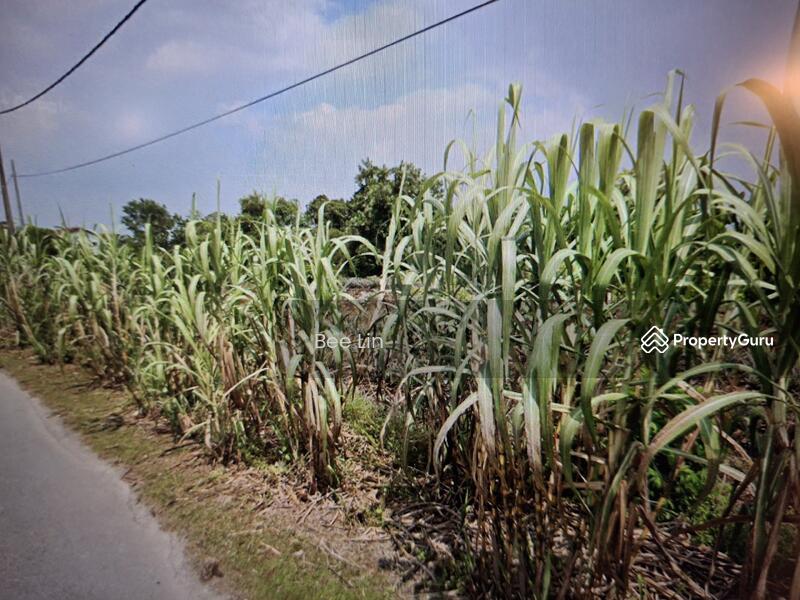 For Sale - Johan Setia