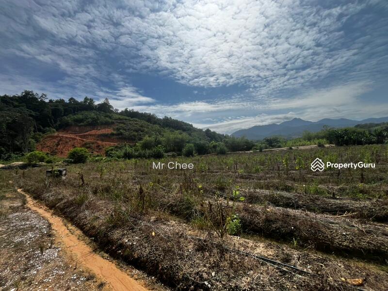 For Rent - simpang pulai