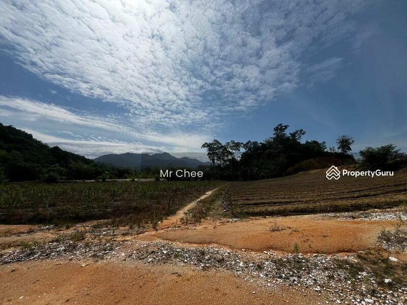 For Rent - simpang pulai