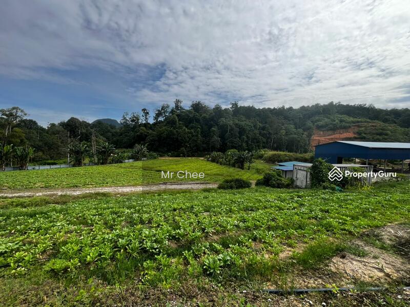 For Rent - simpang pulai