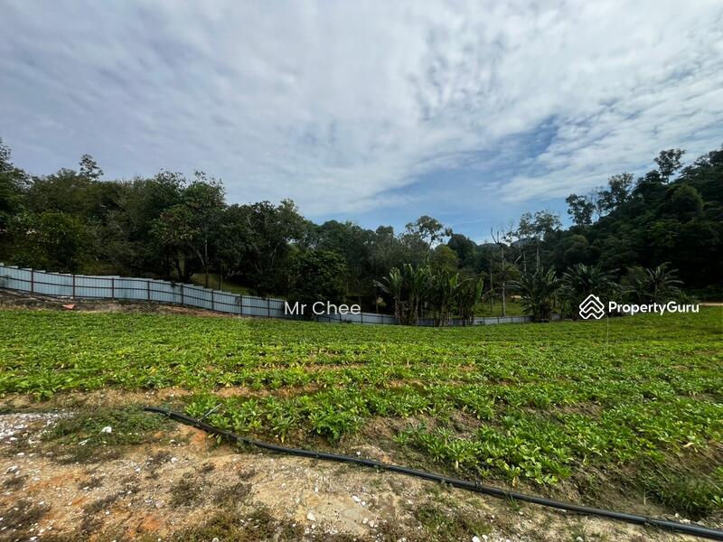 For Rent - simpang pulai