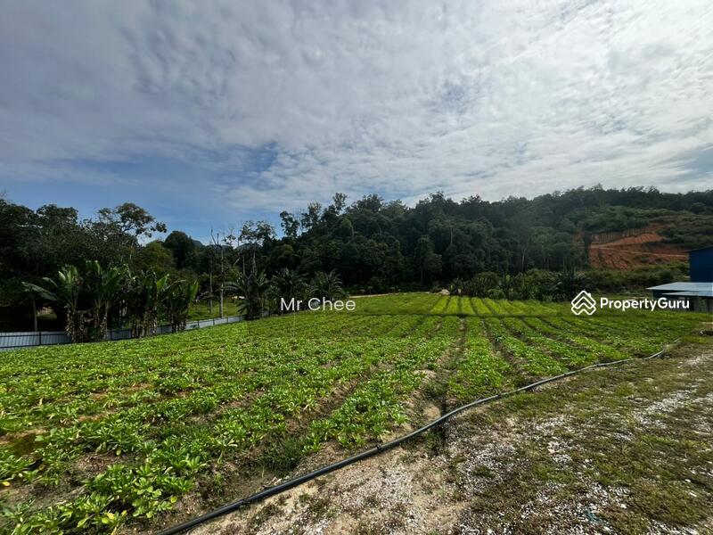For Rent - simpang pulai