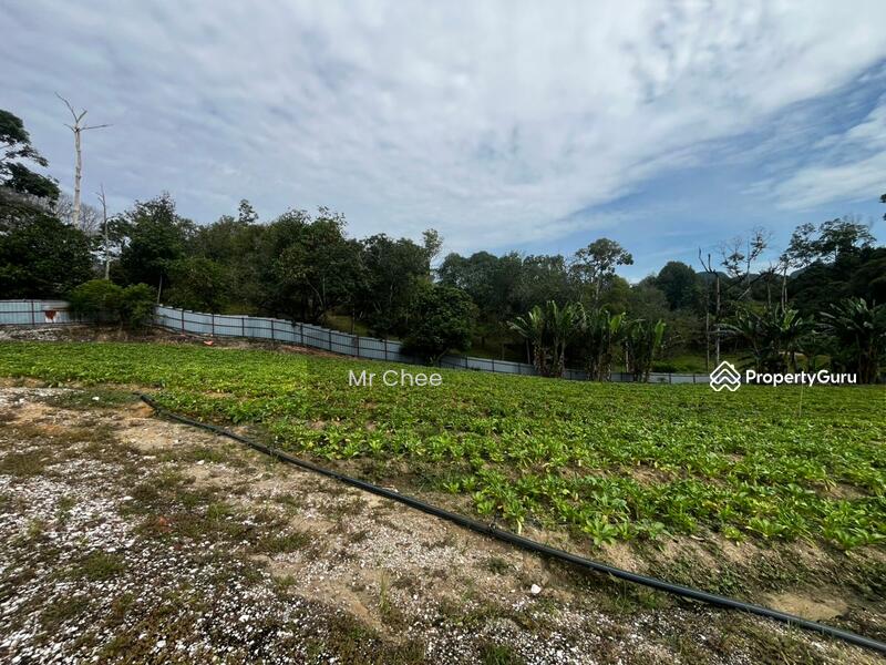 For Rent - simpang pulai