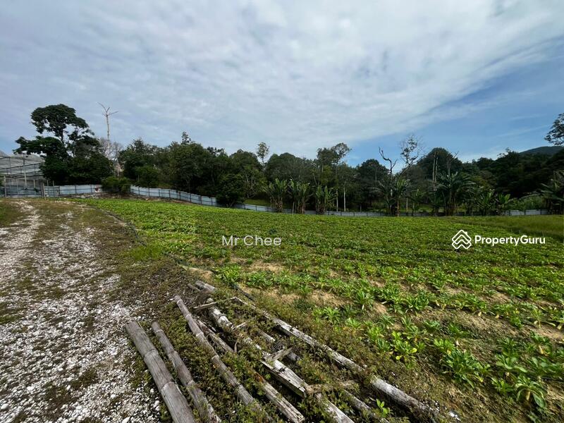 For Rent - simpang pulai