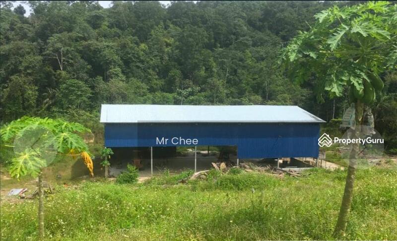For Rent - simpang pulai
