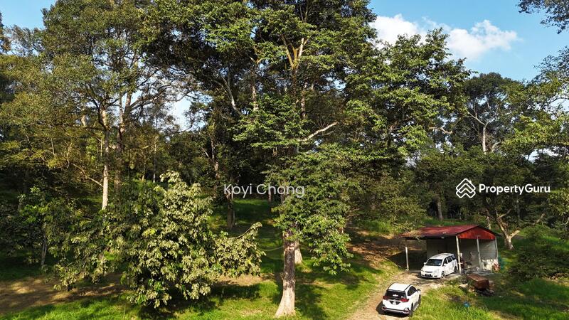 For Sale - kota tinggi