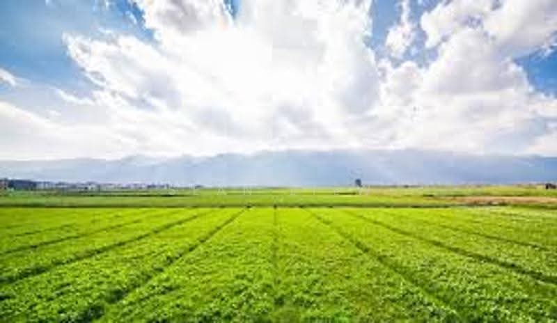 Industrial Land for Sale in Kampung Sungai Lalang (Semenyih) - Sean Liew - Others - PropertyGuru.com.my