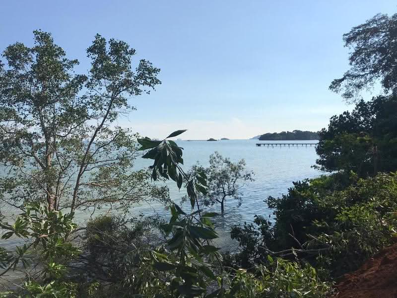 Commercial Land for Sale in Pasir Panjang (Negeri Sembilan) - Joseph Charles - View - PropertyGuru.com.my
