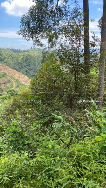 For Sale - kampung sungai dua