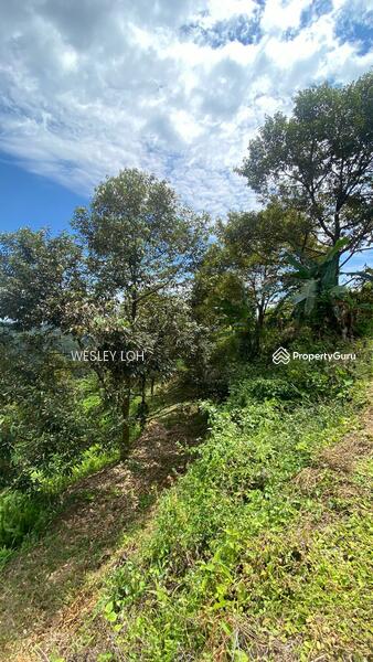 For Sale - kampung sungai dua