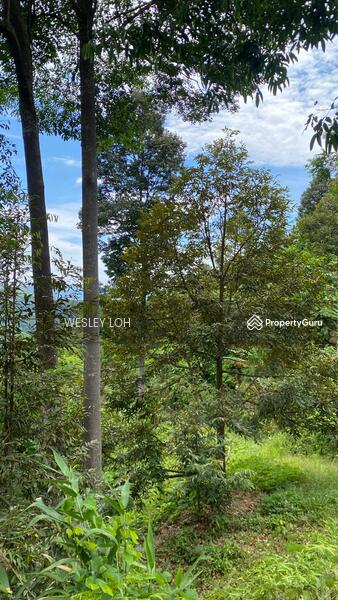 For Sale - kampung sungai dua