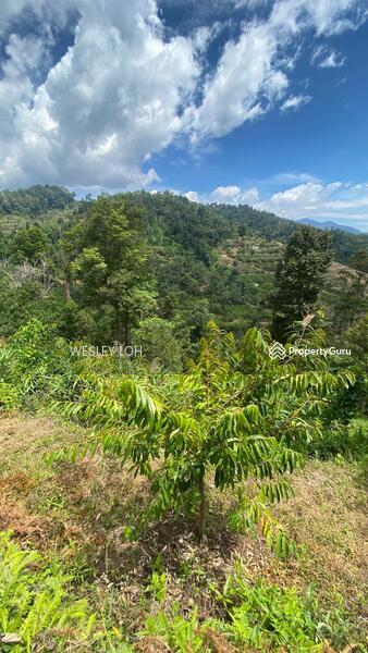 For Sale - kampung sungai dua