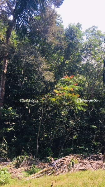 For Sale - Sungai Siput
