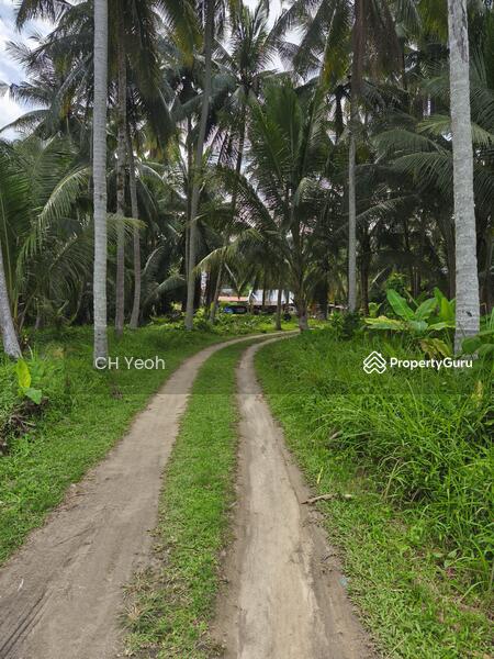 For Sale - Jalan Pulau Betong Kampung Genting Balik Pulau, Penang