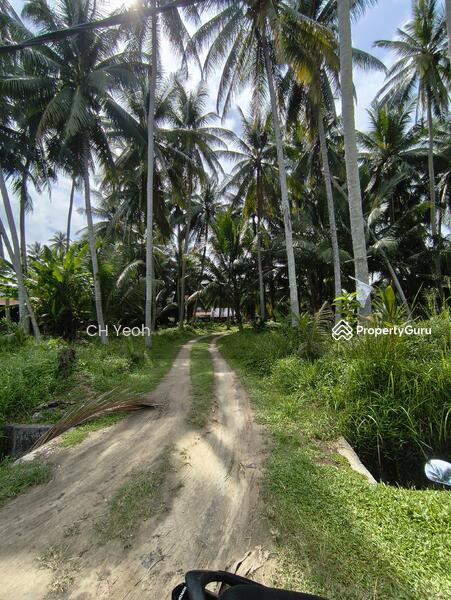 For Sale - Jalan Pulau Betong Kampung Genting Balik Pulau, Penang
