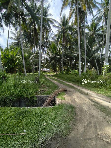 For Sale - Jalan Pulau Betong Kampung Genting Balik Pulau, Penang