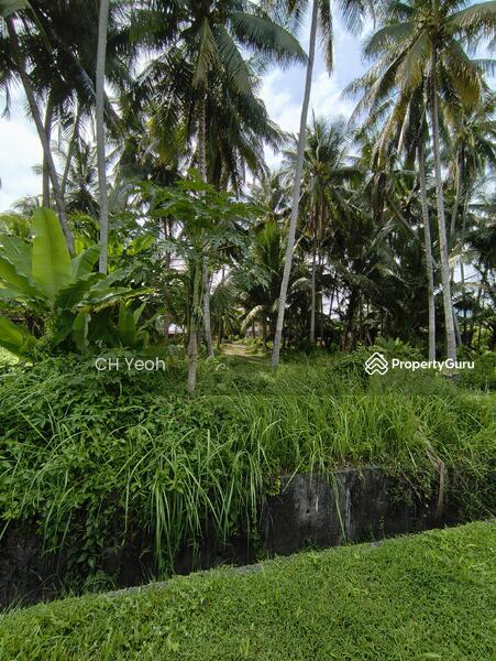 For Sale - Jalan Pulau Betong Kampung Genting Balik Pulau, Penang