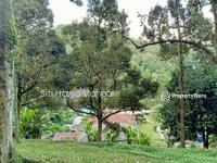 For Sale - Agriculture Land at Sungai Penchala Kuala Lumpur For Sale