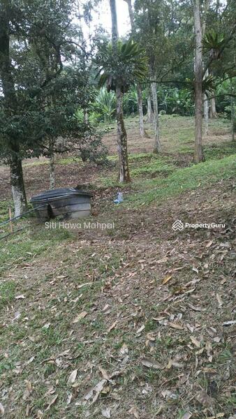For Sale - Agriculture Land at Sungai Penchala Kuala Lumpur For Sale