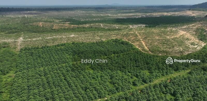 Agricultural Land for Sale in Hulu Tembeling (Pahang) - Eddy Chin - Others - PropertyGuru.com.my