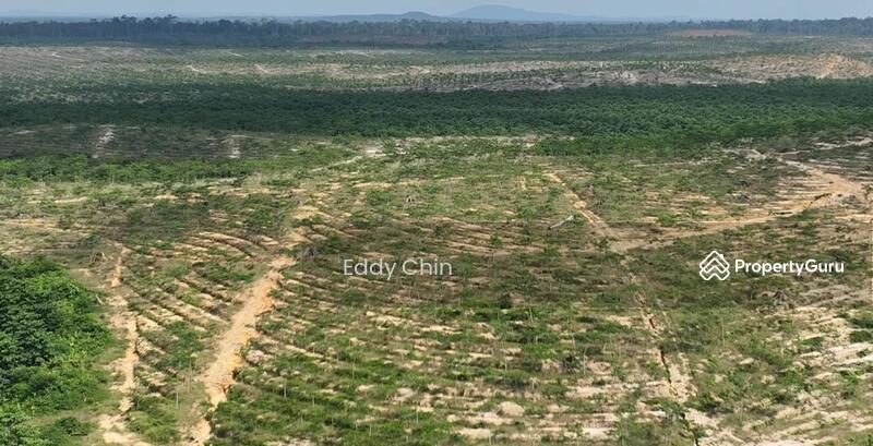 Agricultural Land for Sale in Hulu Tembeling (Pahang) - Eddy Chin - Others - PropertyGuru.com.my