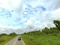 For Sale - Agriculture Land @ Asajaya Telok Sabang