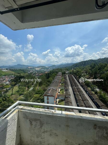 View