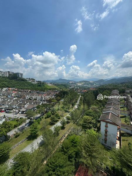 View