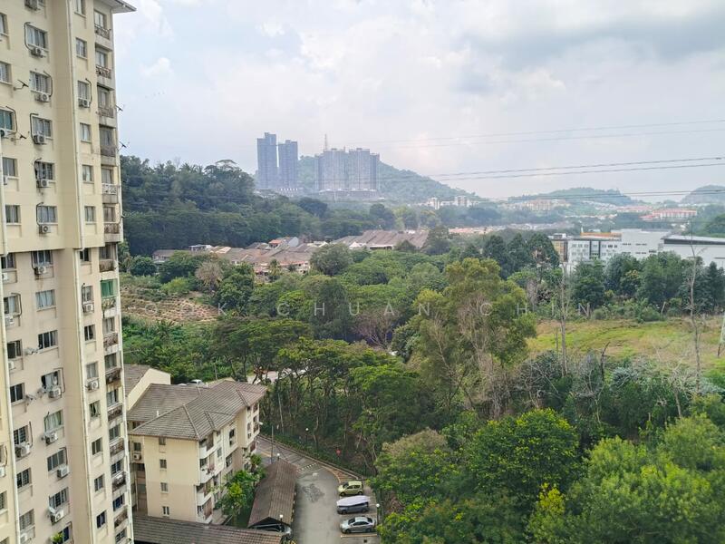 View