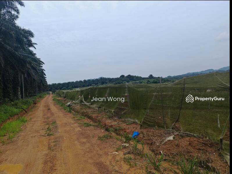 For Sale - Kota Tinggi Walk