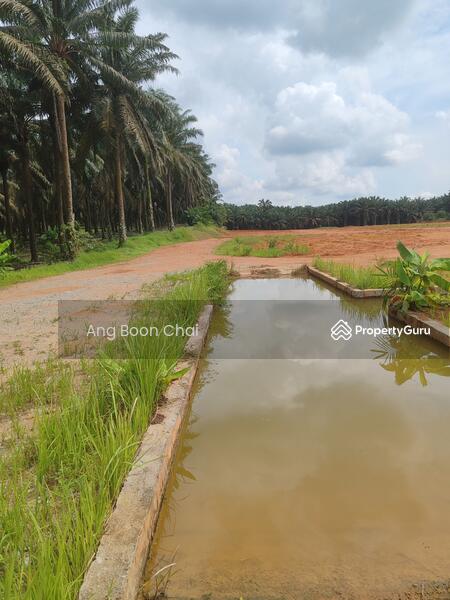 Untuk Disewa - Kulai, Sengkang, Kelapa Sawit, Kulai, Sengkang, Kelapa Sawit, Kulai, Sengkang, Kelapa Sawit, Kulai