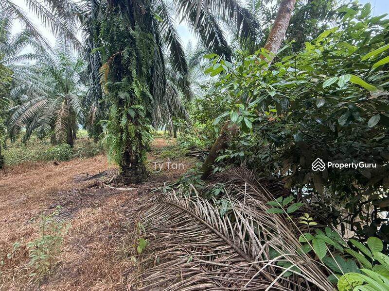 Untuk Dijual - Kampung Sungai Telor