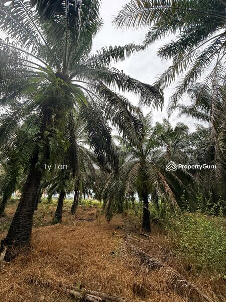 Untuk Dijual - Kampung Sungai Telor