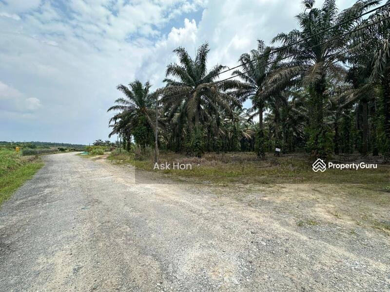 For Sale - Kulai Sengkang