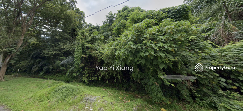Untuk Dijual - Development Land 11.085 Acres Freehold Land for SALE at Bayan Lepas