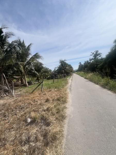 Agricultural Land for Sale in Butterworth (Penang) - Pak Sim Wong - Exterior - PropertyGuru.com.my