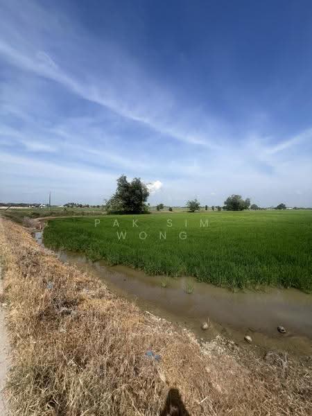 Agricultural Land for Sale in Butterworth (Penang) - Pak Sim Wong - Exterior - PropertyGuru.com.my