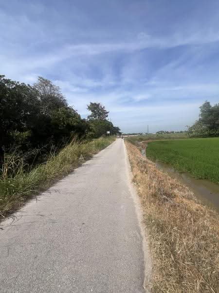 Agricultural Land for Sale in Butterworth (Penang) - Pak Sim Wong - Exterior - PropertyGuru.com.my