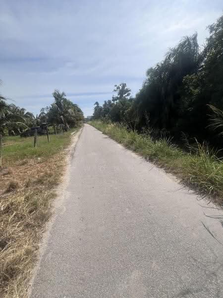 Agricultural Land for Sale in Butterworth (Penang) - Pak Sim Wong - Exterior - PropertyGuru.com.my