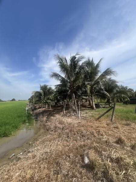 Agricultural Land for Sale in Butterworth (Penang) - Pak Sim Wong - Exterior - PropertyGuru.com.my