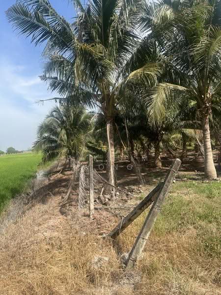 Agricultural Land for Sale in Butterworth (Penang) - Pak Sim Wong - Exterior - PropertyGuru.com.my