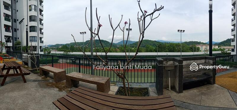 View