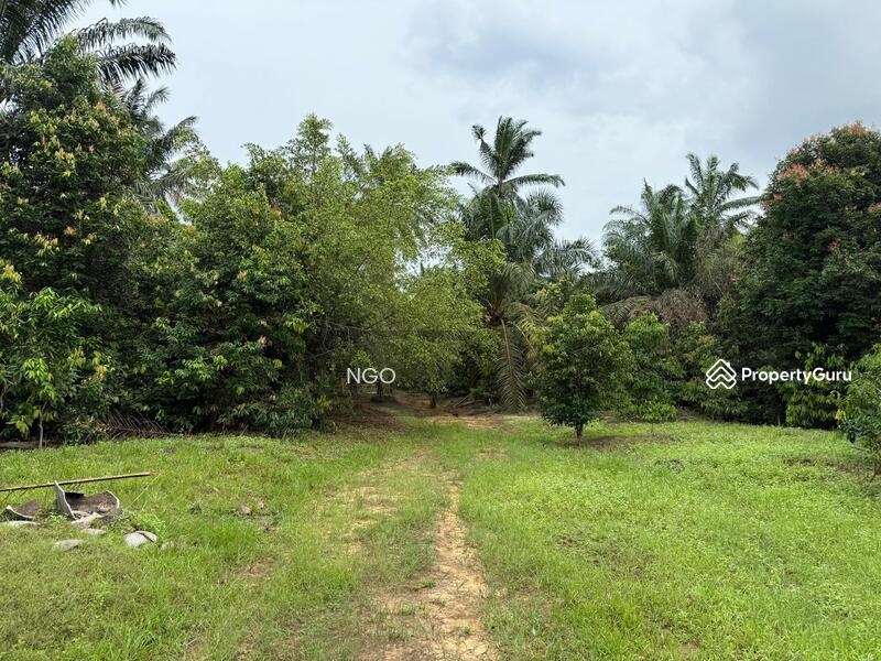 Agricultural Land Seri Medan untuk Untuk Dijual - RM 5,923,369, Apr 2026 - Garden - PropertyGuru.com.my